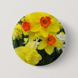 Badge Rond 5 Cm Mélange de jonquille simple