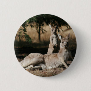 Badge Rond 5 Cm Mère Kangaroo et bébé Joey