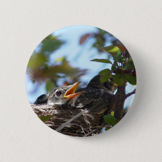 Badge Rond 5 Cm Merles de bébé dans le bouton de nid