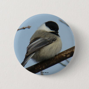 Badge Rond 5 Cm Mésange B21