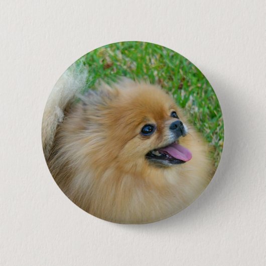 Badge Rond 5 Cm Mignon comme bouton blond (Devant)