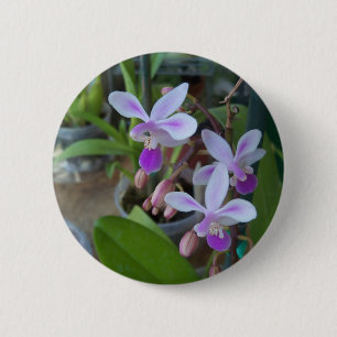 Badge Rond 5 Cm mini orchidées phales
