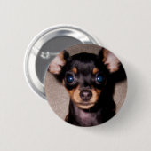 Badge Rond 5 Cm mini pinscher. (Devant & derrière)