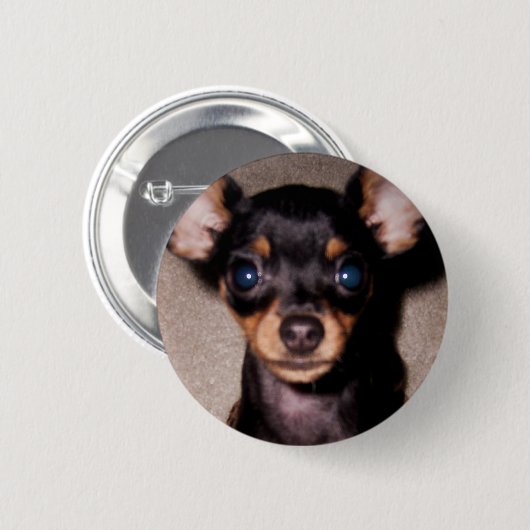 Badge Rond 5 Cm mini pinscher. (Devant & derrière)