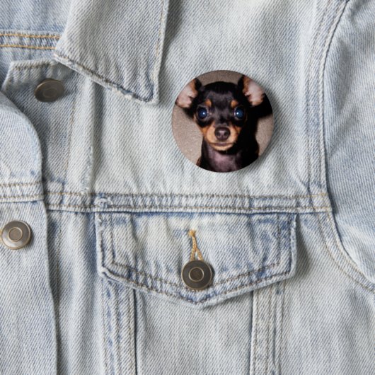 Badge Rond 5 Cm mini pinscher. (En situation)