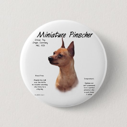 Badge Rond 5 Cm Miniature Pinscher (rouge) (Devant)