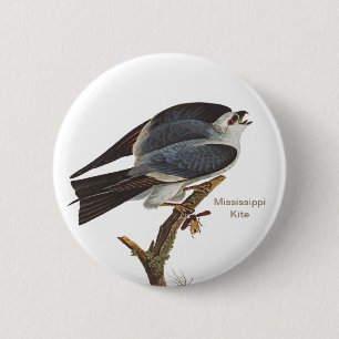 Badge Rond 5 Cm Mississippi Kite, Audubon, Birdwatcher Birder,