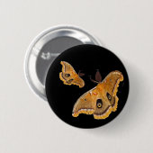 Badge Rond 5 Cm Mites de Polyphemus (Devant & derrière)