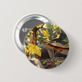 Badge Rond 5 Cm Mockingbirds, John James Audubon (Devant & derrière)