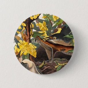 Badge Rond 5 Cm Mockingbirds, John James Audubon