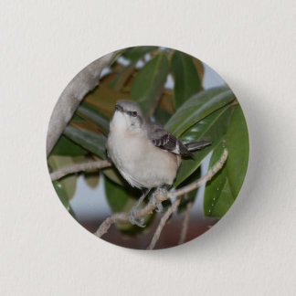 Badge Rond 5 Cm Mockingbutton - moqueur du nord sur la magnolia