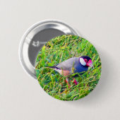 Badge Rond 5 Cm Moineau de Java dans l'herbe en Hawaï (Devant & derrière)