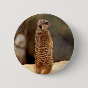Badge Rond 5 Cm Mongoose10