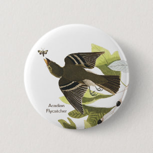 Badge Rond 5 Cm Moucherolle acadien, John James Audubon Birdwatche