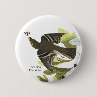 Badge Rond 5 Cm Moucherolle acadien, John James Audubon Birdwatche