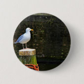 Badge Rond 5 Cm Mouette (Devant)