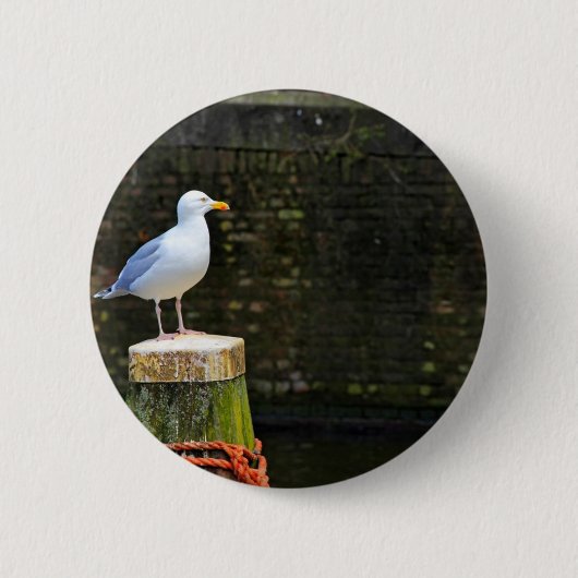 Badge Rond 5 Cm Mouette (Devant)