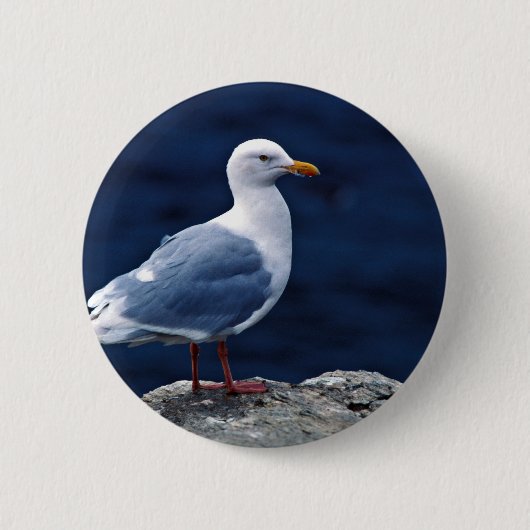 Badge Rond 5 Cm Mouette Glaucous (Devant)