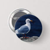Badge Rond 5 Cm Mouette Glaucous (Devant & derrière)