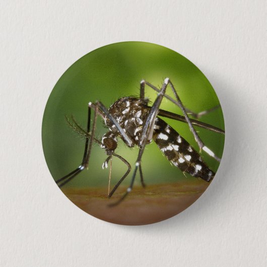 Badge Rond 5 Cm Moustique tigre (Devant)