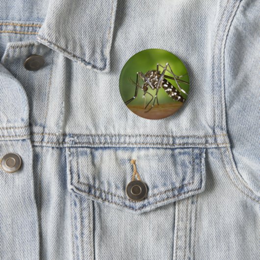 Badge Rond 5 Cm Moustique tigre (En situation)