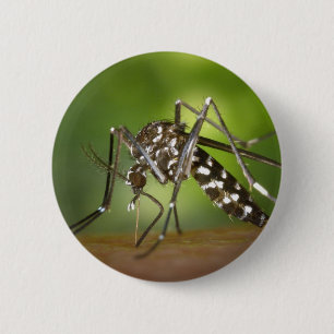 Badge Rond 5 Cm Moustique tigre