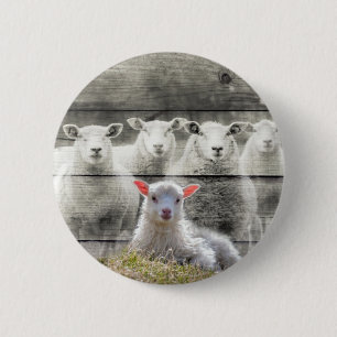 Badge Rond 5 Cm Mouton d'agneau de bébé