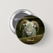 Badge Rond 5 Cm mouton islandais (Devant & derrière)