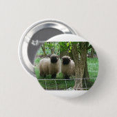 Badge Rond 5 Cm Mouton mignon (Devant & derrière)
