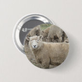Badge Rond 5 Cm Moutons curieux (Devant & derrière)