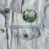 Badge Rond 5 Cm Moutons de l'Iowa (En situation)