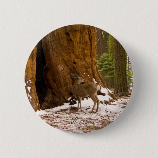 Badge Rond 5 Cm Mule Deer (Devant)