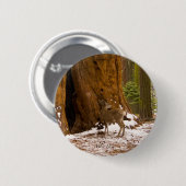 Badge Rond 5 Cm Mule Deer (Devant & derrière)
