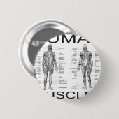 Badge Rond 5 Cm Muscles humains et anatomie (Devant & derrière)