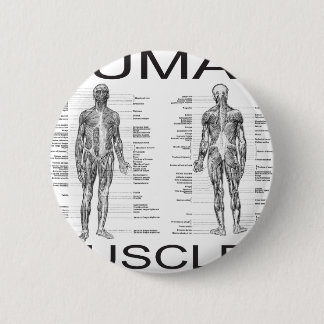 Badge Rond 5 Cm Muscles humains et anatomie