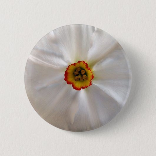 Badge Rond 5 Cm narcisse blanche perle (Devant)