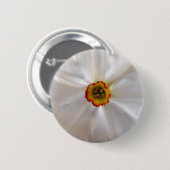 Badge Rond 5 Cm narcisse blanche perle (Devant & derrière)