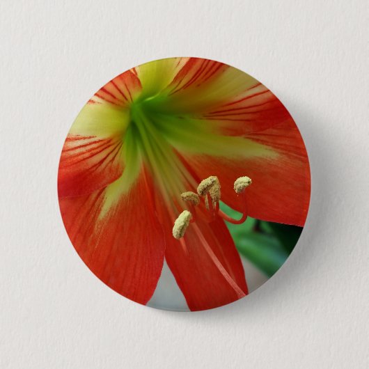 Badge Rond 5 Cm nénuphar (Devant)