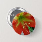 Badge Rond 5 Cm nénuphar (Devant & derrière)