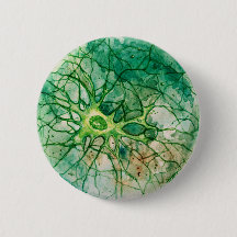 Neurone - bouton et Pin