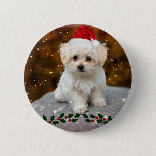 Badge Rond 5 Cm Noël des chiots maltais