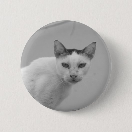 Badge Rond 5 Cm Noir et blanc - Chat 02 (Devant)