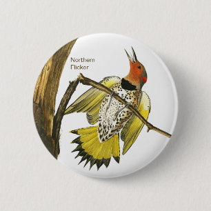 Badge Rond 5 Cm Northern Flicker, Audubon, Birdwatcher Accessories