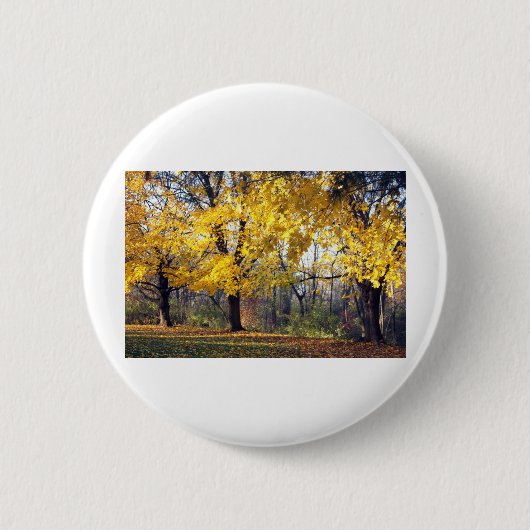 Badge Rond 5 Cm Norvège Maples (Devant)