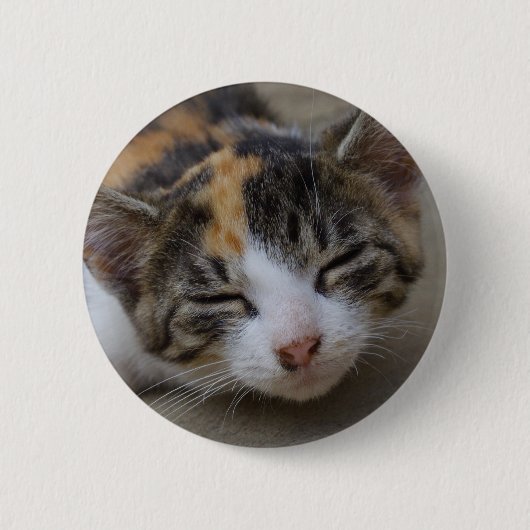 Badge Rond 5 Cm Noyer Calico Kitten (Devant)