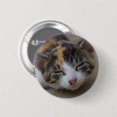 Badge Rond 5 Cm Noyer Calico Kitten (Devant & derrière)