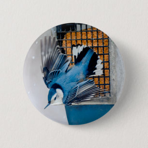 Badge Rond 5 Cm Nuthatch à poitrine blanche en neige - Photo origi
