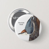 Badge Rond 5 Cm Nuthatch à tête Brown, Audubon, Oiseaux, (Devant & derrière)