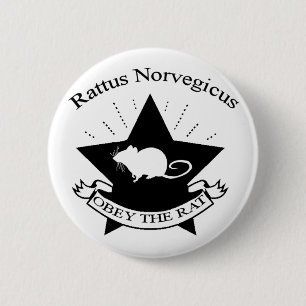 Badge Rond 5 Cm Obéissez le bouton
