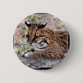 Badge Rond 5 Cm Ocelot 01 11x11 (Devant)